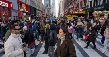 This holiday season, online deals might be ‘a little weaker,’ as sales slow and shoppers navigate tariff fears