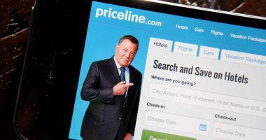 This online travel giant sees holiday travel perking up