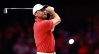 Tiger Woods has revealed that he recently underwent surgery for another back issue