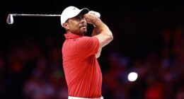 Tiger Woods has revealed that he recently underwent surgery for another back issue
