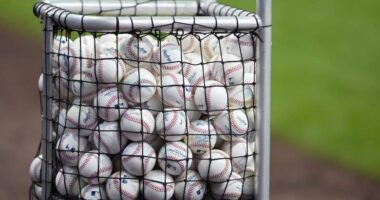 Tigers’ Offseason Opens With Pair of Players Leaving Organization