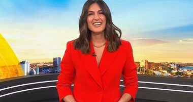 Today show star Sarah Abo (pictured) has reportedly hired a celebrity dealmaker to handle negotiations with Nine amid bombshell claims Samantha Armytage could replace her