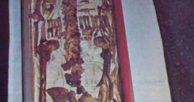 The bones of St Francis of Assis are set to be put on display in Italy next year for veneration, a traditional form of reverence and respect given to saints