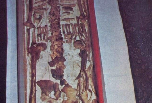 The bones of St Francis of Assis are set to be put on display in Italy next year for veneration, a traditional form of reverence and respect given to saints