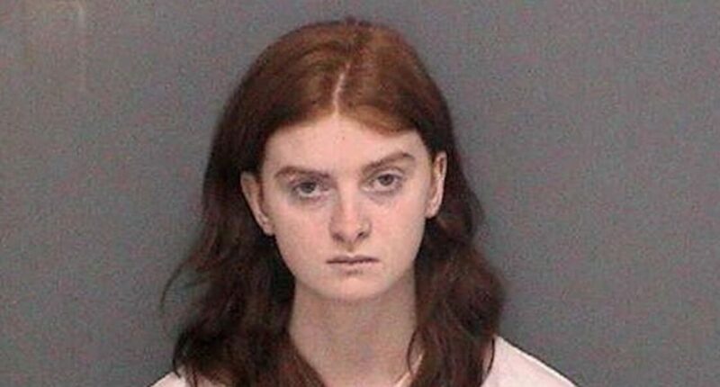 Trans Teen Confesses to Planning Valentine's Day Massacre at High School.