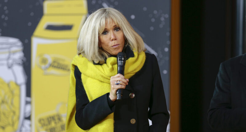 Trial Begins for Ten Accused of Calling Brigitte Macron Trans, Making 'Malicious Remarks' About Age Gap with French Prez.