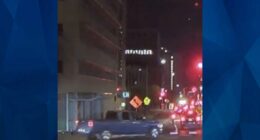 Truck Driver Flees Scene After Killing Texas Man on Scooter, Police Seek Tips