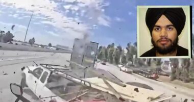 Trump Admin Arrests 146 Illegal Immigrant Truck Drivers.