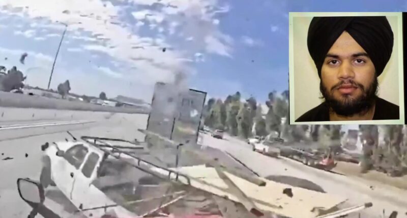 Trump Admin Arrests 146 Illegal Immigrant Truck Drivers.