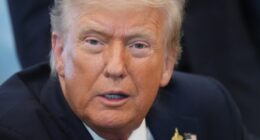 Trump Offered Some Sage Advice for Greta ‘Doom Pixie’ Thunberg After Latest Detainment – RedState