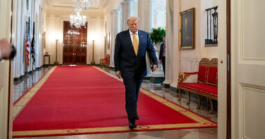 Trump Says 'Israel Must Immediately Stop the Bombing' as Hamas Caves.