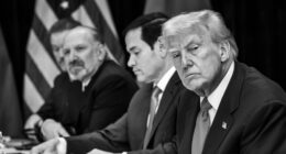 Trump Slashes Refugee Cap to Historic Low of 7,500, Most Places Going to Afrikaners.