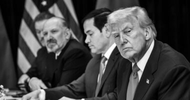 Trump Slashes Refugee Cap to Historic Low of 7,500, Most Places Going to Afrikaners.