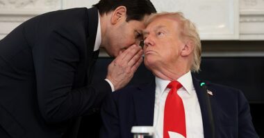 Secretary of State Marco Rubio interrupts a summit held by Donald Trump at the White House to hand him an urgent note on the Gaza peace deal