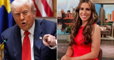 President Donald Trump on Tuesday called out The View co-host Alyssa Farah Griffin after she failed to keep her promise to wear a MAGA hat on the show if he freed the Israeli hostages from Gaza.