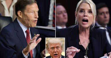 President Donald Trump wants an investigation into 'sanctimonious' Democratic Senator Richard Blumenthal for lying about his military service in Vietnam decades ago. Trump's sudden interest in Blumenthal comes after the Connecticut lawmaker traded jabs with Attorney General Pam Bondi at a Senate hearing on Tuesday.