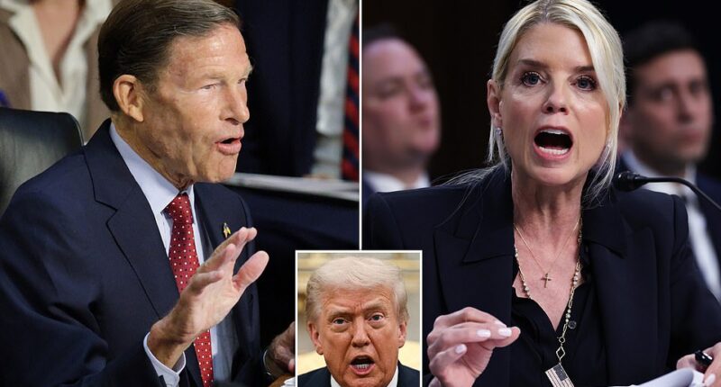 President Donald Trump wants an investigation into 'sanctimonious' Democratic Senator Richard Blumenthal for lying about his military service in Vietnam decades ago. Trump's sudden interest in Blumenthal comes after the Connecticut lawmaker traded jabs with Attorney General Pam Bondi at a Senate hearing on Tuesday.