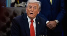 Donald Trump has demanded $230 million from the Justice Department as payback for federal investigations he faced while the Democrats were in charge.