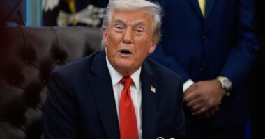 Donald Trump has demanded $230 million from the Justice Department as payback for federal investigations he faced while the Democrats were in charge.