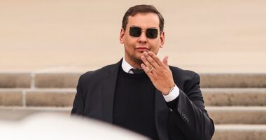 President Donald Trump has commuted the prison sentence of George Santos, releasing the disgraced former Republican congressman immediately