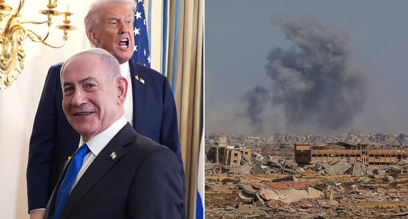 President Donald Trump issued one last ultimatum demanding Hamas accept a peace agreement with Israel to end the bloody Gaza war. Trump promised on Truth Social that if the militants did not accept his purported peace plan that 'all hell' will 'break out against Hamas.' The president noted that Hamas has until 6pm on Sunday to release all the remaining hostages.