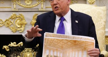 Trump reportedly plans to name $300 million ballroom after himself