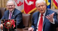 President Donald Trump lost his cool when he found out that a member of the Australian delegation welcomed to the White House on Monday was critical of him before taking the job. In what was otherwise a chummy meeting, Trump got curt with Australia's U.S. Amb. Kevin Rudd, when he found out that he said 'bad' things about him as he hosted Australian Prime Minister Anthony Albanese and his team.