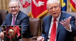 President Donald Trump lost his cool when he found out that a member of the Australian delegation welcomed to the White House on Monday was critical of him before taking the job. In what was otherwise a chummy meeting, Trump got curt with Australia's U.S. Amb. Kevin Rudd, when he found out that he said 'bad' things about him as he hosted Australian Prime Minister Anthony Albanese and his team.