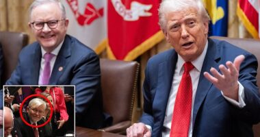 President Donald Trump lost his cool when he found out that a member of the Australian delegation welcomed to the White House on Monday was critical of him before taking the job. In what was otherwise a chummy meeting, Trump got curt with Australia's U.S. Amb. Kevin Rudd, when he found out that he said 'bad' things about him as he hosted Australian Prime Minister Anthony Albanese and his team.
