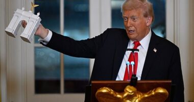 He also displayed small replica designs of some of his planned renovations, including a white arch he intends to build across from Arlington National Cemetery