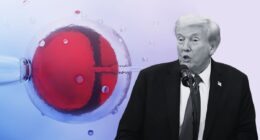 President Donald Trump and IVF