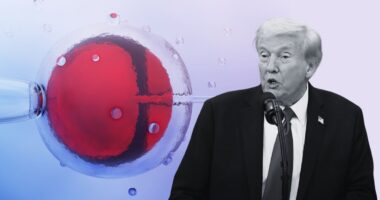 President Donald Trump and IVF
