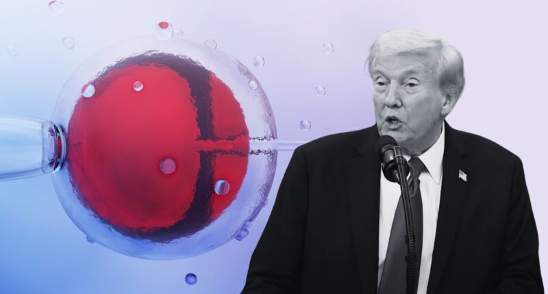 President Donald Trump and IVF