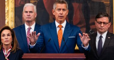 Trump’s Transportation Secretary ‘can’t guarantee’ flights won’t be delayed or canceled as FAA struggles with staffing amid shutdown