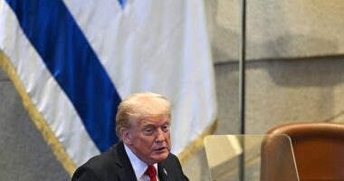 President Donald Trump's speech to the Israeli parliament was interrupted by screaming protesters on Monday morning