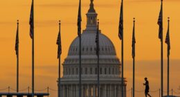 The US national debt has surpassed $38 trillion for the first time in history (Pictured: The US Capitol Building in Washington DC)