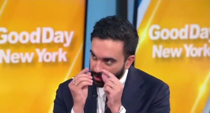 WATCH: NYC’s Zohran Mamdani Confirms He Wants Legal Prostitution.
