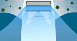 Which? experts tested 120 dehumidifiers - these are the best 3 for reducing mould, dust mites, bad smells and bacteria