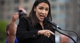 White Democrat Voters 'Will Not Vote for Black Candidates' – HotAir