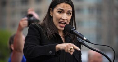 White Democrat Voters 'Will Not Vote for Black Candidates' – HotAir