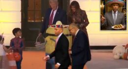 The White House is ratcheting up its battle against top congressional Democrats by employing the latest Halloween social media trends. Trump’s team has been trolling top Democratic leaders, Representative Hakeem Jeffries and Senator Chuck Schumer, with Halloween-themed barbs for Friday's holiday. A post on the official White House X account poked fun at the liberals with Spirit Halloween costume packs featuring the two New York lawmakers. Jeffries’s costume includes a sombrero and a ‘filibuster speech no one remembers.’ However, the joke costume does not include ‘common sense.’