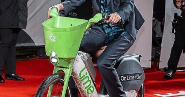 Seeing red: Timothée Chalamet rode up to a premiere – then parked it badly and got a fine