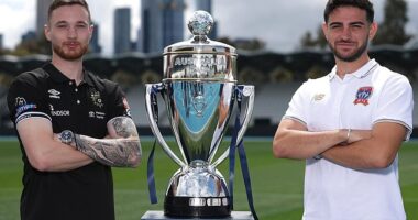Heidelberg United's run to the Australia Cup final has been impressive - but if the part-time footballers hoist the silverware on Saturday, it will be an own goal for the A-League (pictured left, skipper Anthony Lesiotis)