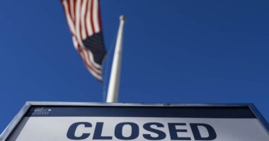 Why investors don’t need to play defense during the government shutdown — even if it lasts