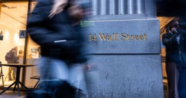 Why stock-market investors will be hanging on every CEO’s word this earnings season