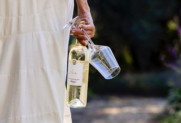 Meghan Markle's latest Sauvignon Blanc is a 'risky' gamble following a 'muted' response to her last rosé launch, a brand expert has warned