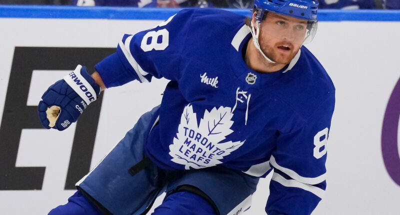 William Nylander Sends 'Thankful' Message On Canadian Holiday