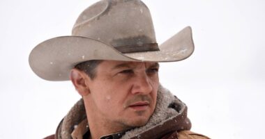 Wind River: The Next Chapter