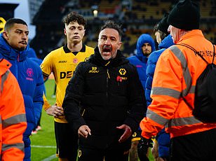 Wolves manager Vitor Pereira has to be dragged away from spat with his OWN FANS after they chanted 'you're getting sacked in the morning'