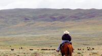 Your Guide to a Luxury Ranch Retreat in Montana
